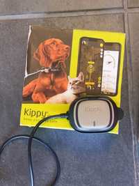 Lokalizator GPS dla psa kota