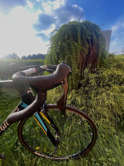 Szosa wilier trestina gtr