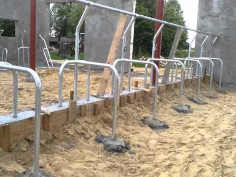 Stanowiska dla bydła krów opasów uwięzi pasy agrafki wolnostanowiskowe