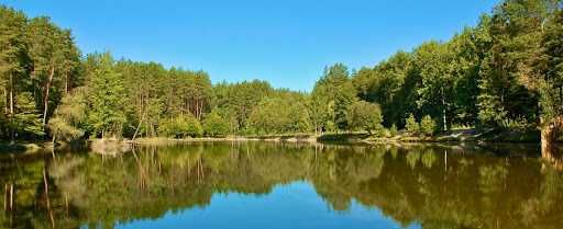 продам земельну ділянку в лісовій зоні сел.Клавдієве, Київська область