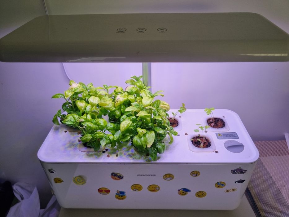 Cultivo hidroponico Prozis