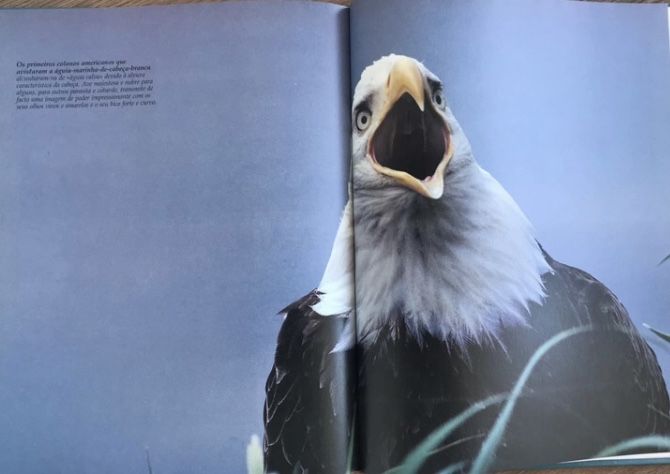 Animais dos litorais e ilhas