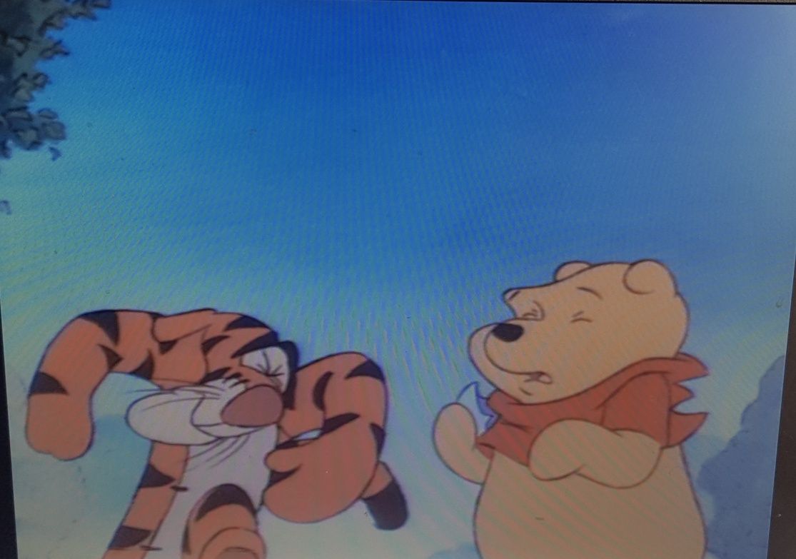 Kubuś Puchatek wielojęzyczna bajka na DVD