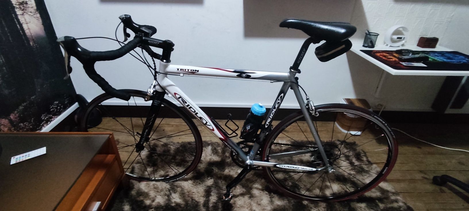 Bicicleta estrada Triton Ridley Ritchey pro