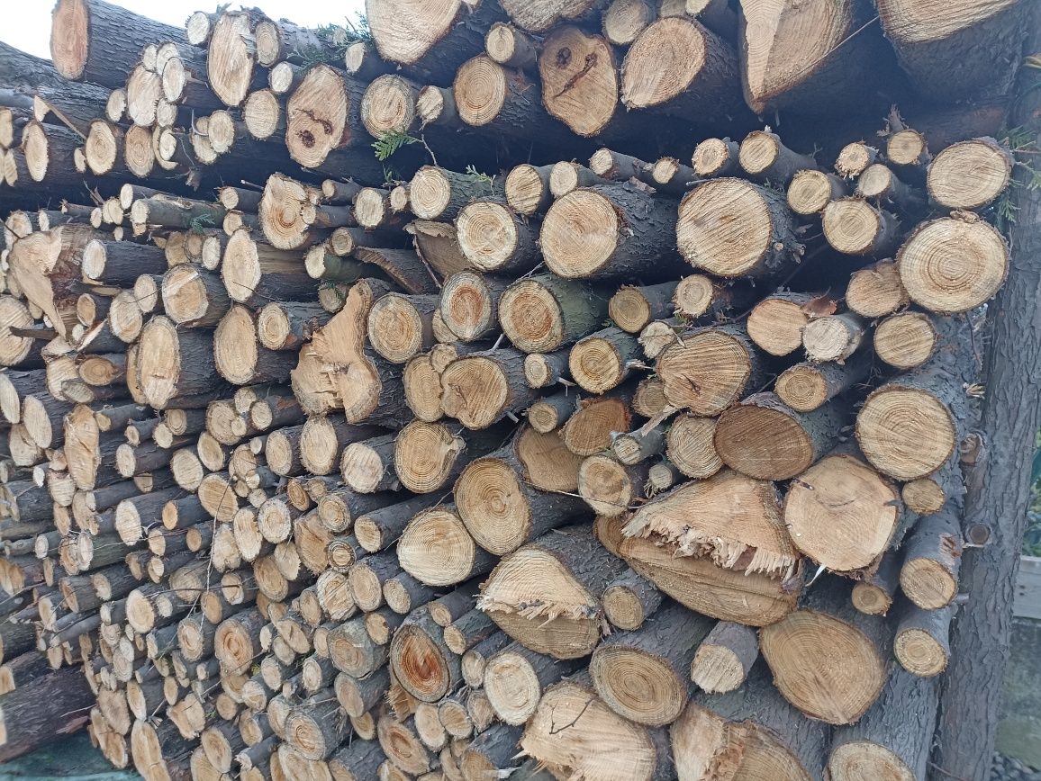 Drewno ok 19 metrów przestrzenych