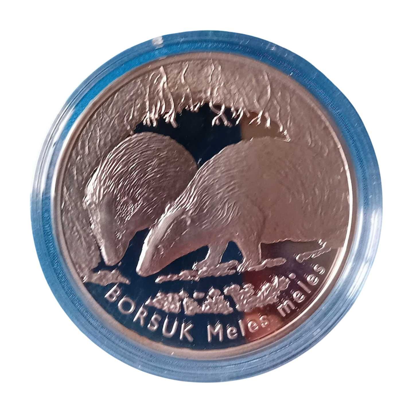 Srebrna moneta 20 zł - Borsuk 2011