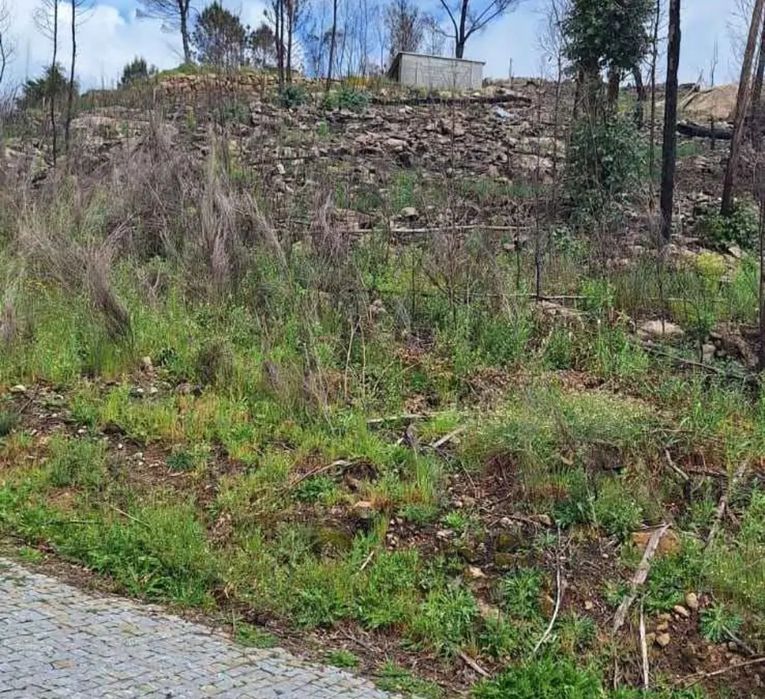 Bouça em Balde sta Leocádia-Baião
