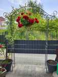 Na sprzedaż metalowa pergola