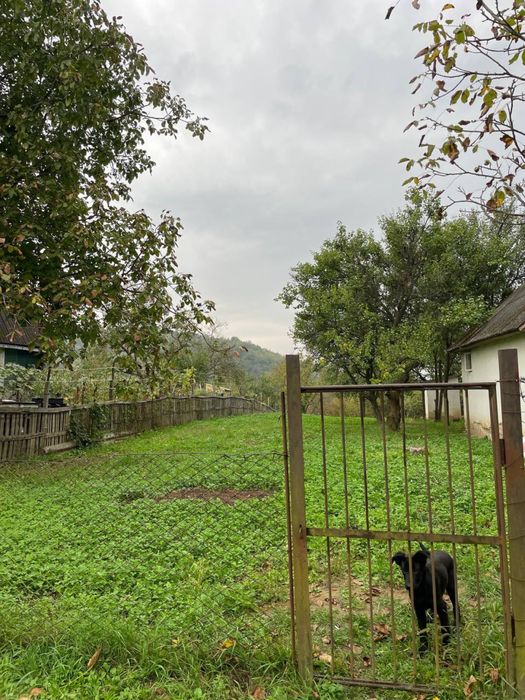 Продам земельну ділянку