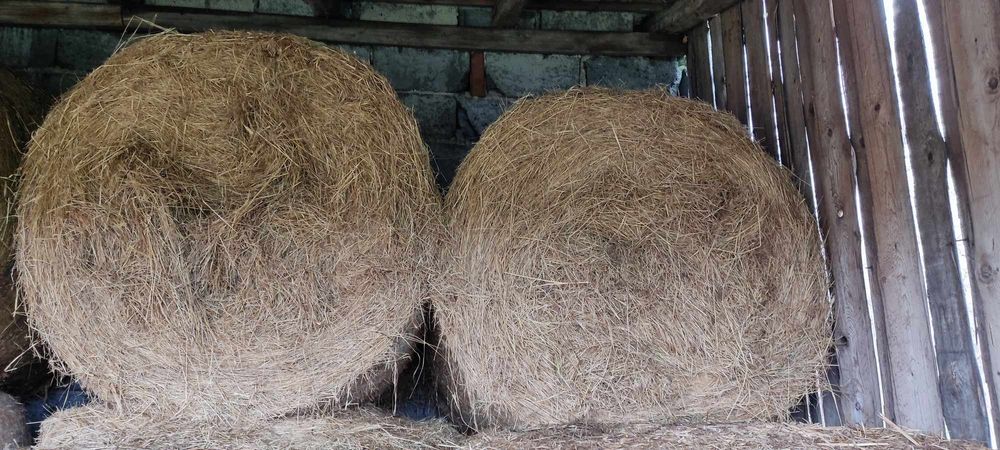 2025r. Siano pierwszy pokos z pod dachu. I drugi siano. Transport