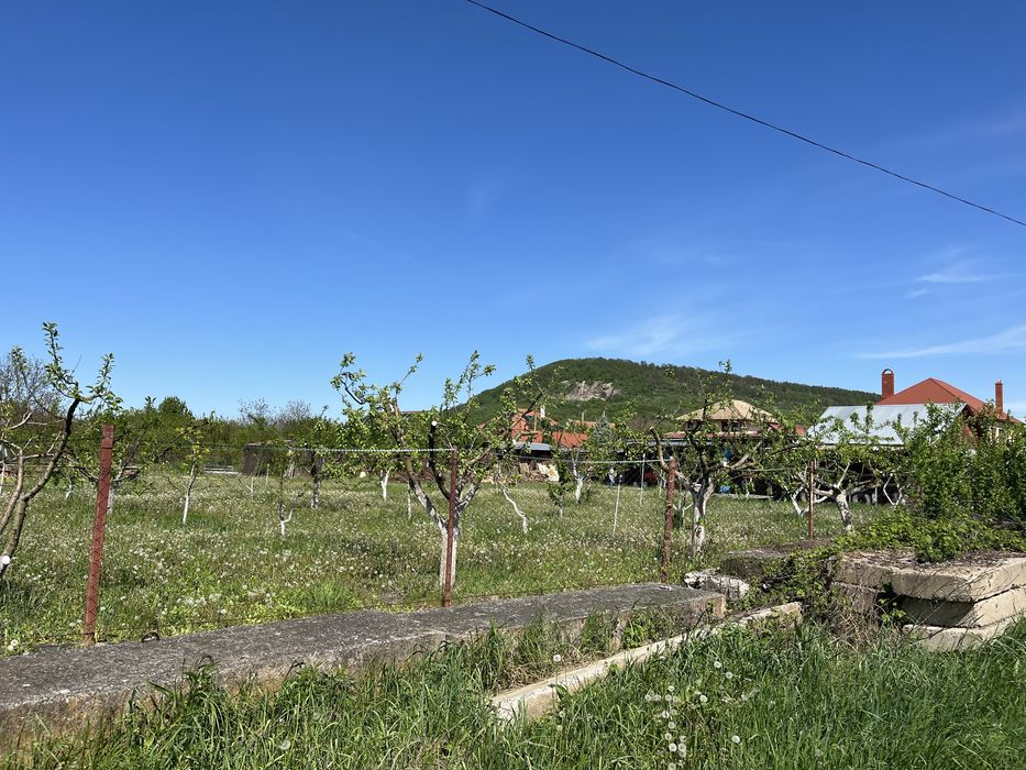 Недобудова 235 м2 приват ділянка 12 сот Берегово винзавод «Чізай»