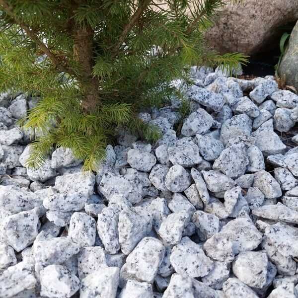 grys granitowy frakcja 8/16