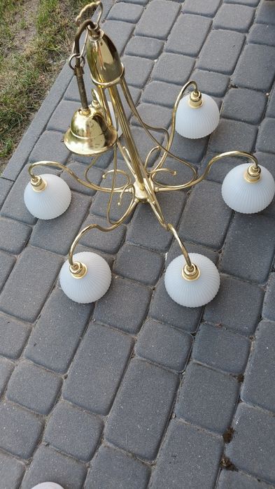 Żyrandol z 6 szklanymi kloszami