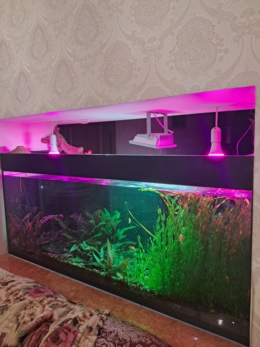Акваріум б/в на 500 л.