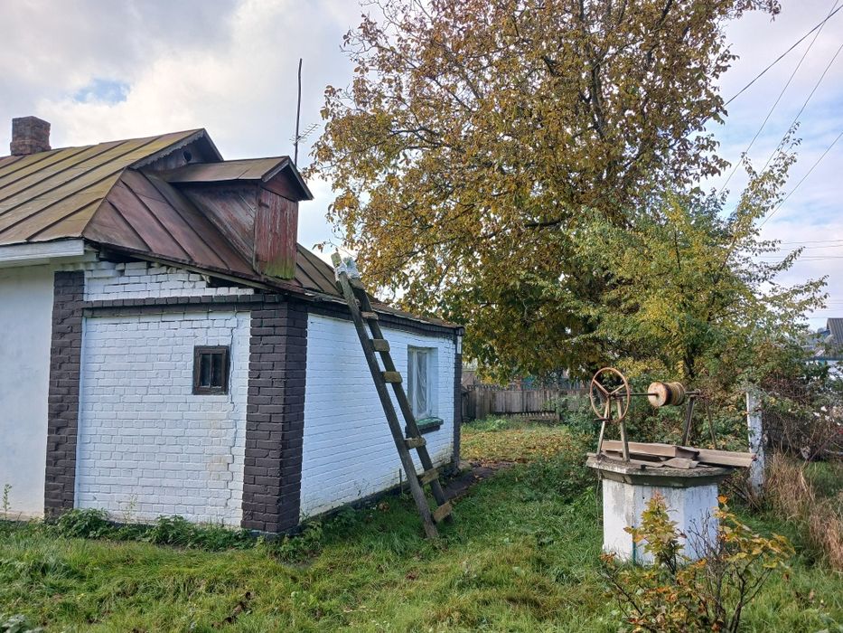 Здам в довгострокову оренду будинок