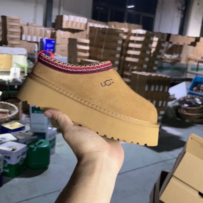 Угги ugg tazz, чоботи ugg, зимове взуття | жіноче взуття на зиму