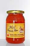 Frasco de mel - mel terras da feira 500gr