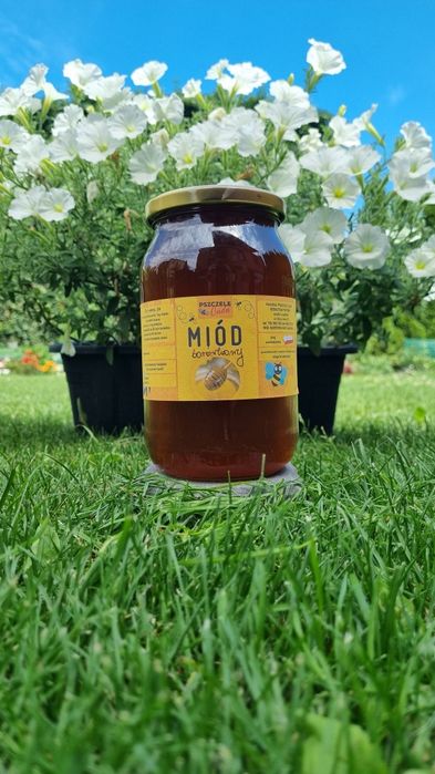Miód wielokwiatowy 1.2kg