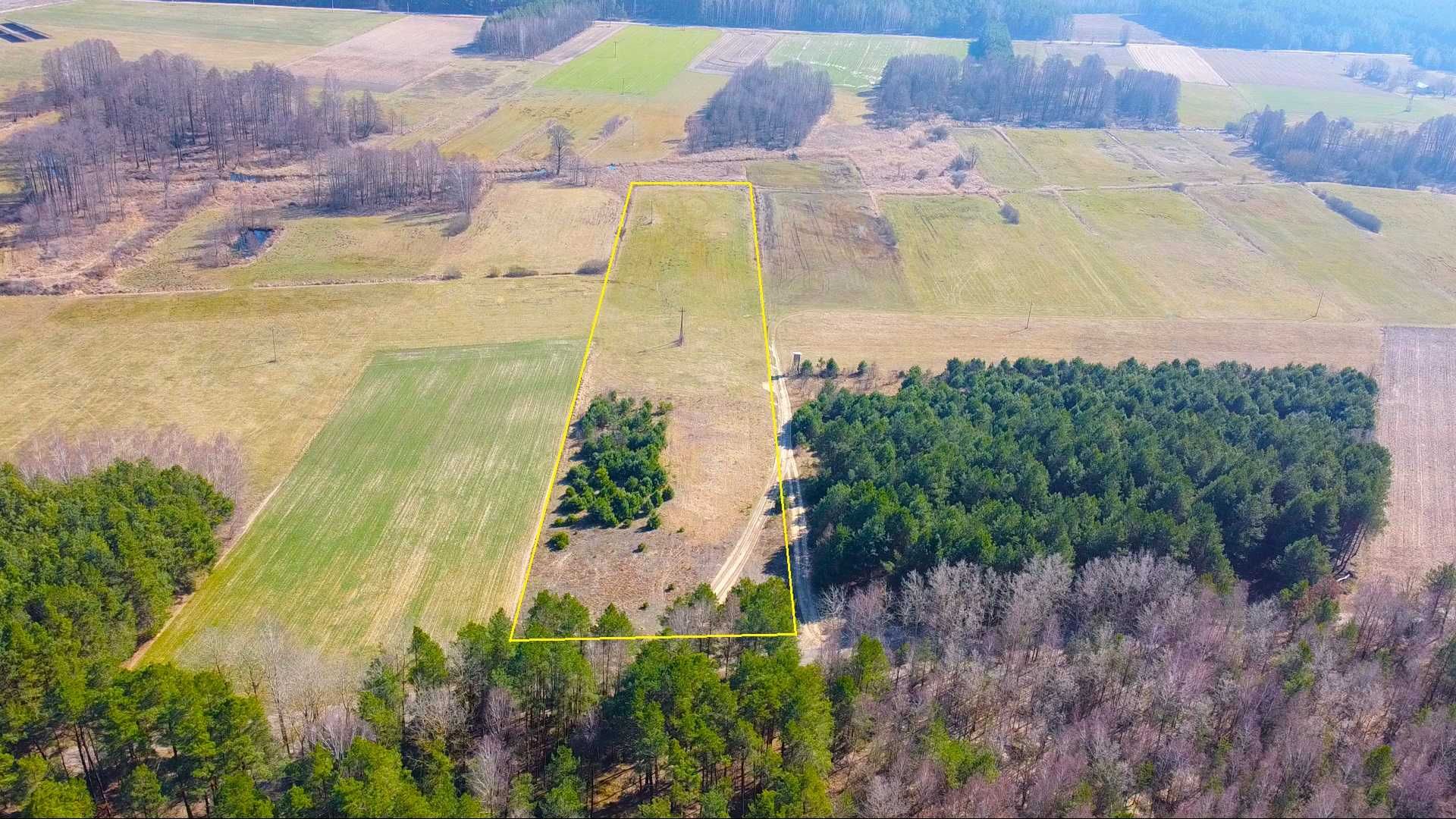 Działka budowlana przy dużym lesie - 100 km od Warszawy