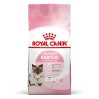 Royal Canin Babycat 3kg Gratis wiaderko na karmę Royal Canin