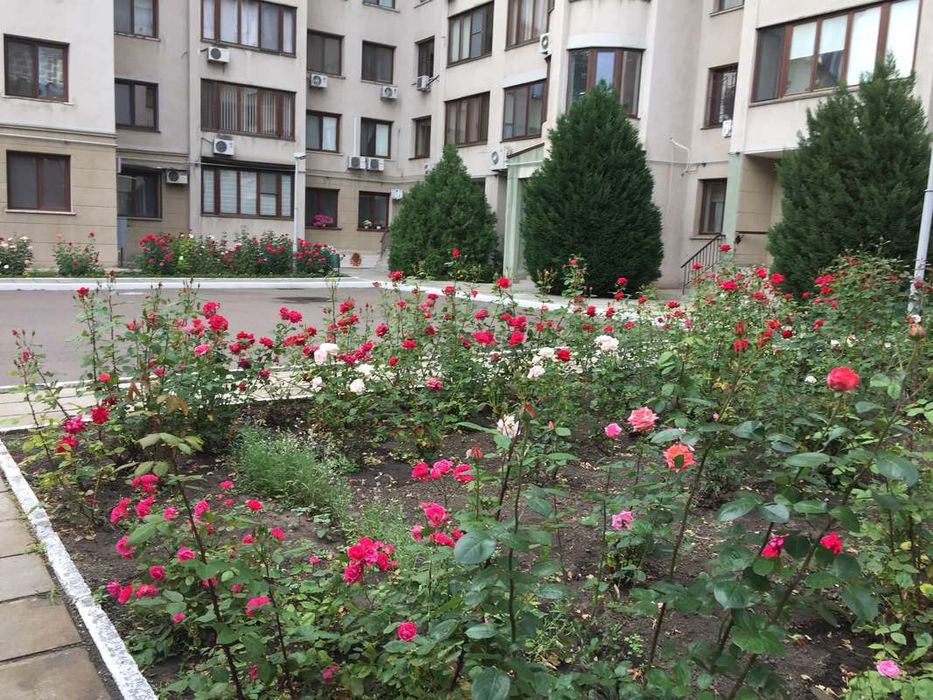 3-комнатная квартира на проспекте Шевченко, парк Победы