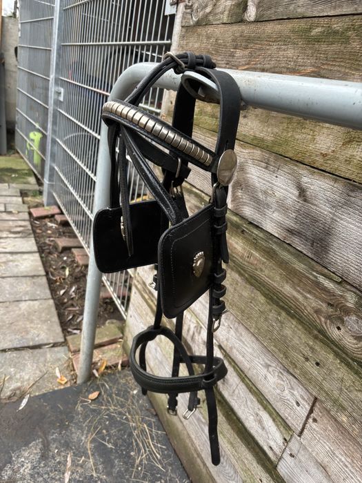 Oglowie zaprzęgowe cob