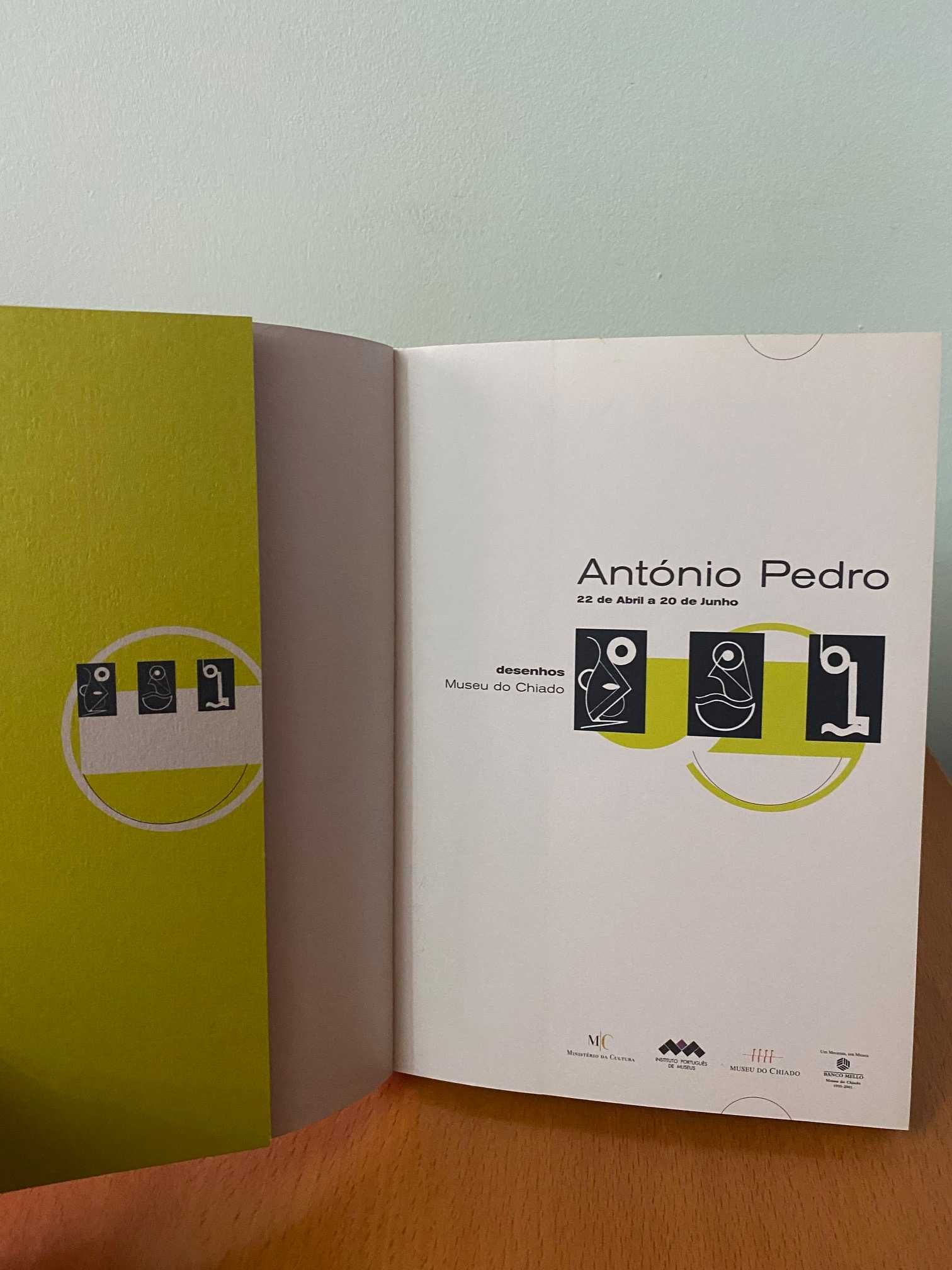 António Pedro: Desenhos - Museu do Chiado