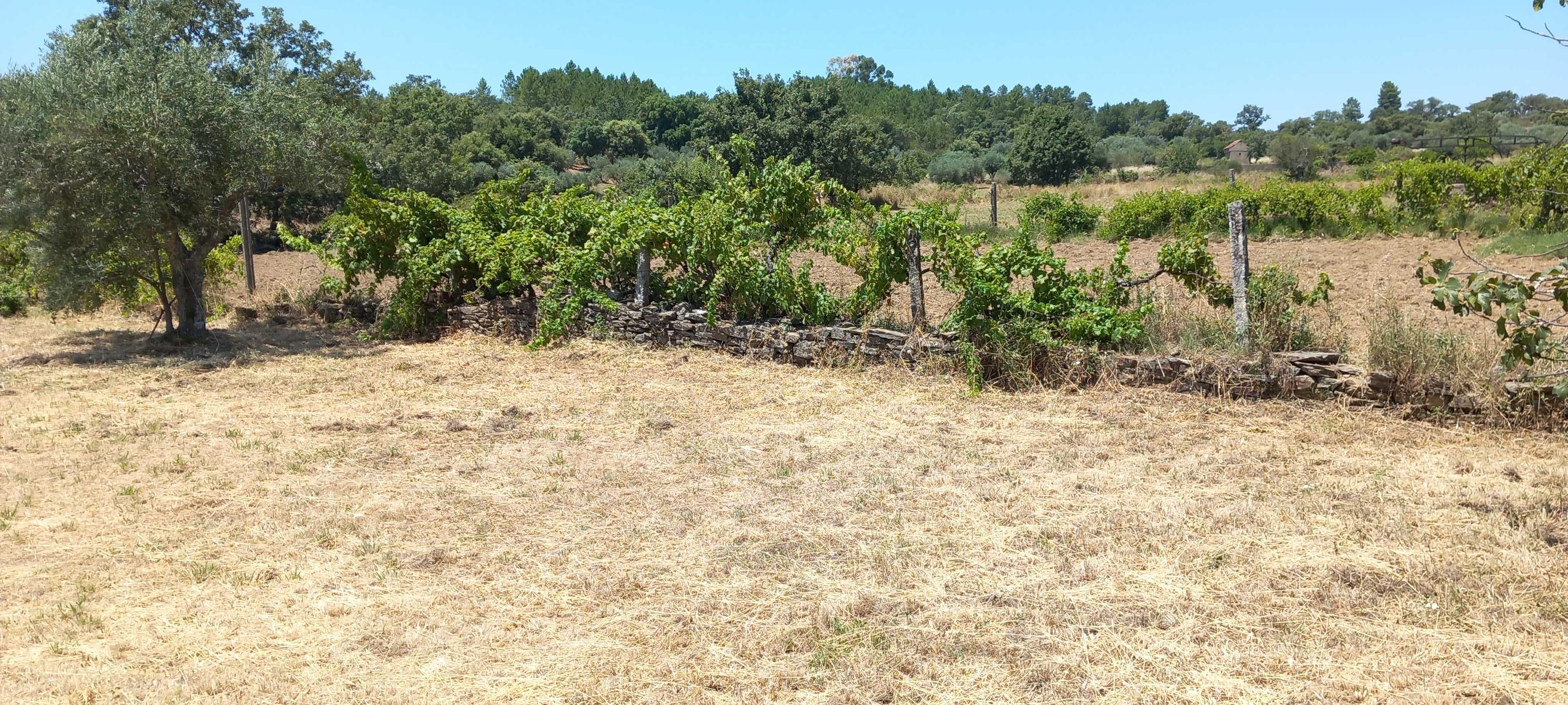 Terreno nas divisas portugal espanha