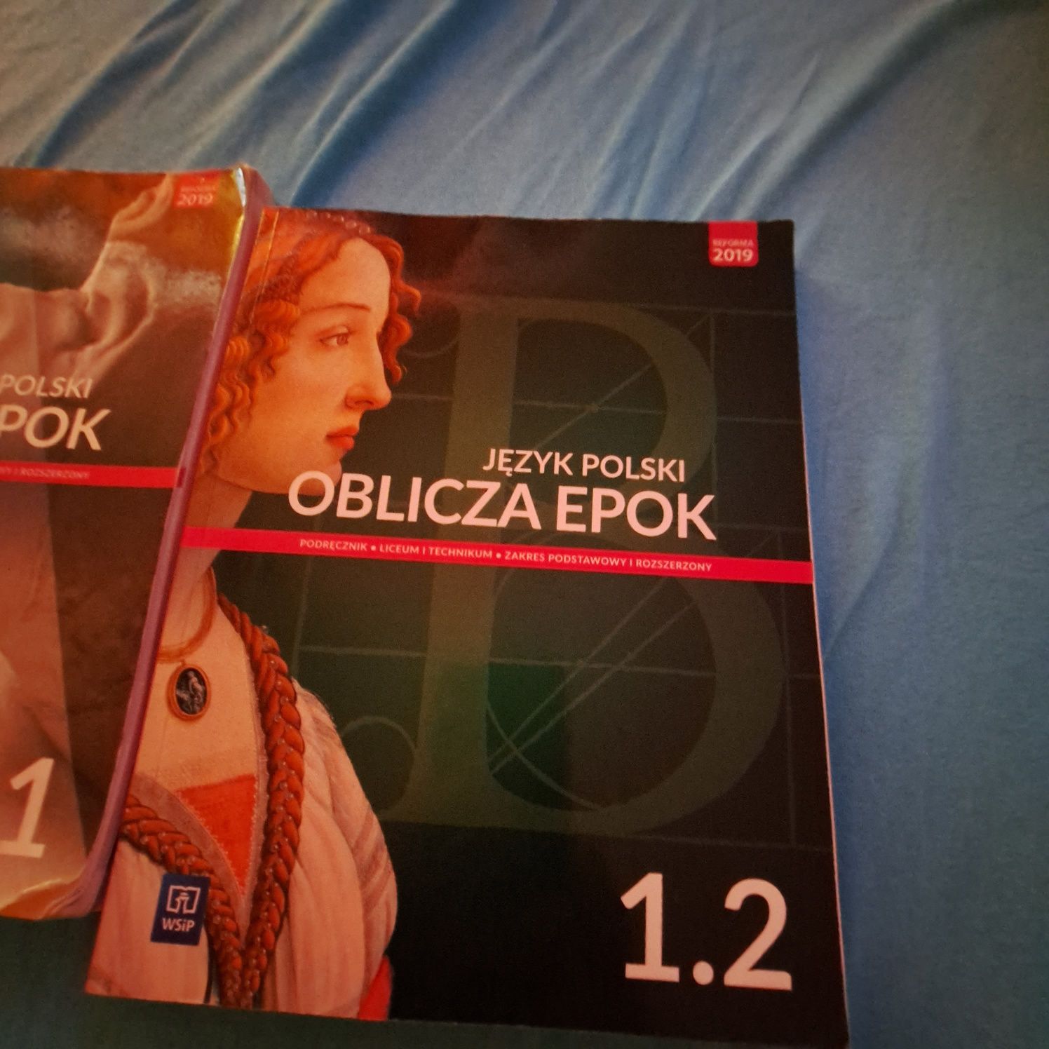 Język Polski  oblicza epok