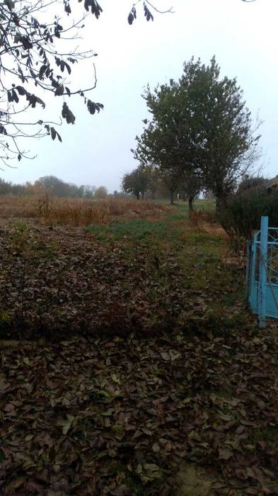 Продам будинок, с. Куча. ділянка 50 ст.