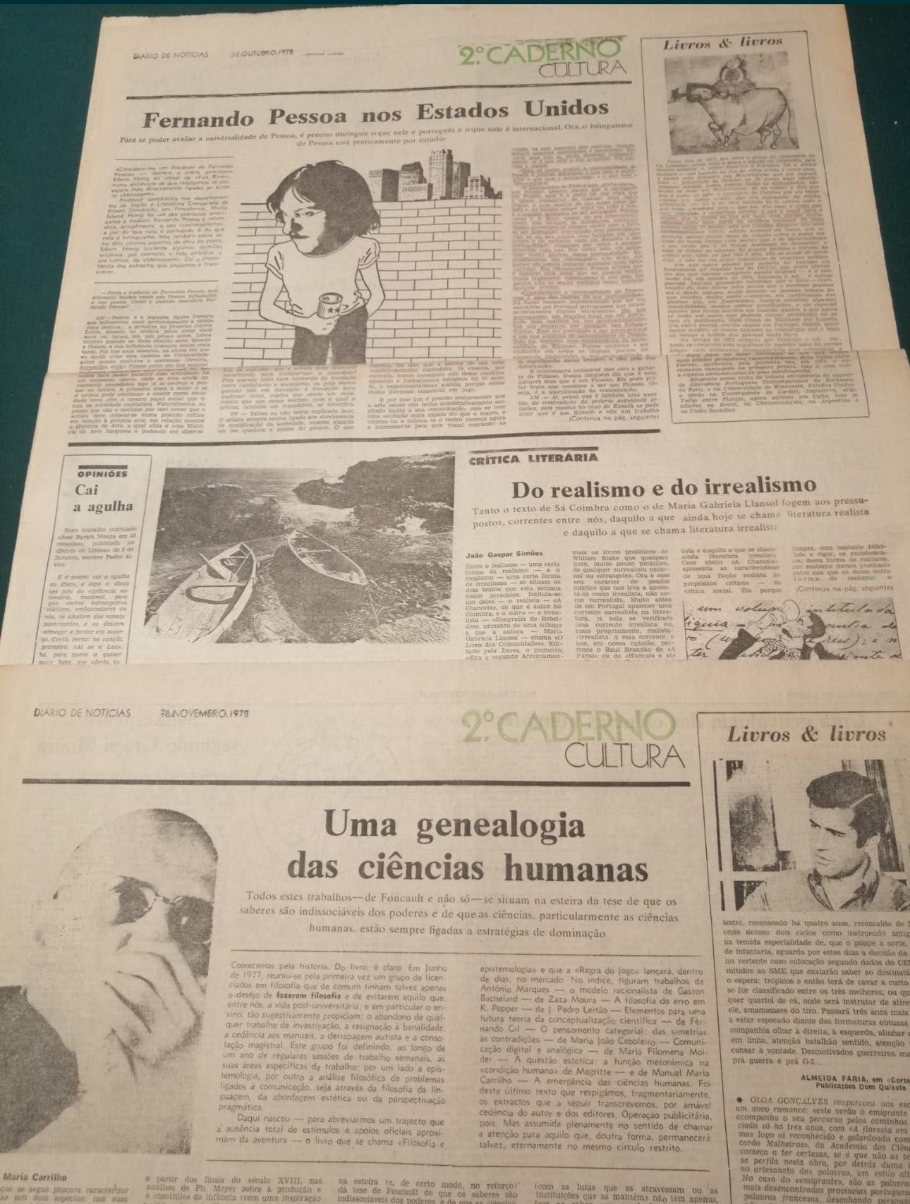 Diário de Notícias - Suplemento Cultura