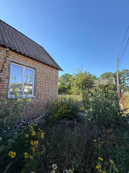 Продаж дачі у кооперативі «Дружба»