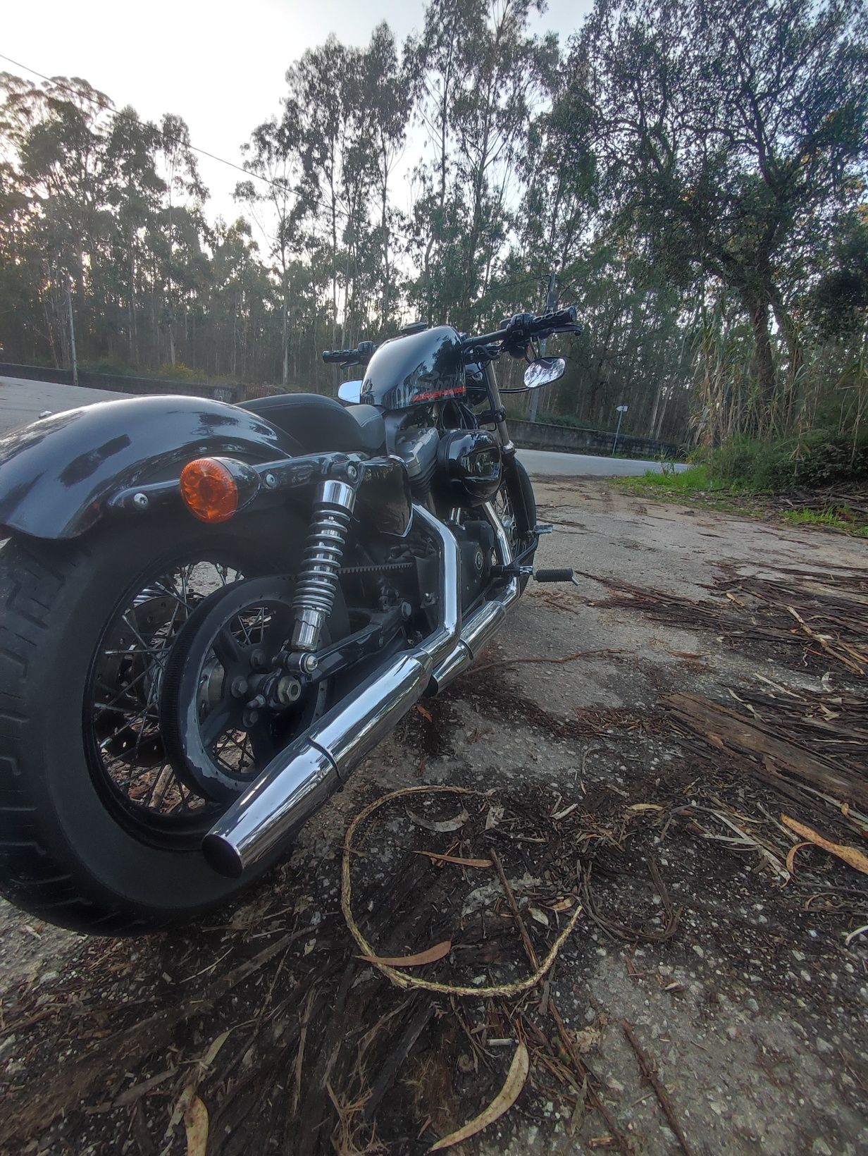 Harley Davidson sportster 48