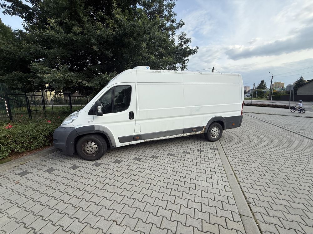 Bus wynajem max długi , wynajme busa , przeprowadzki ducato maxi  .