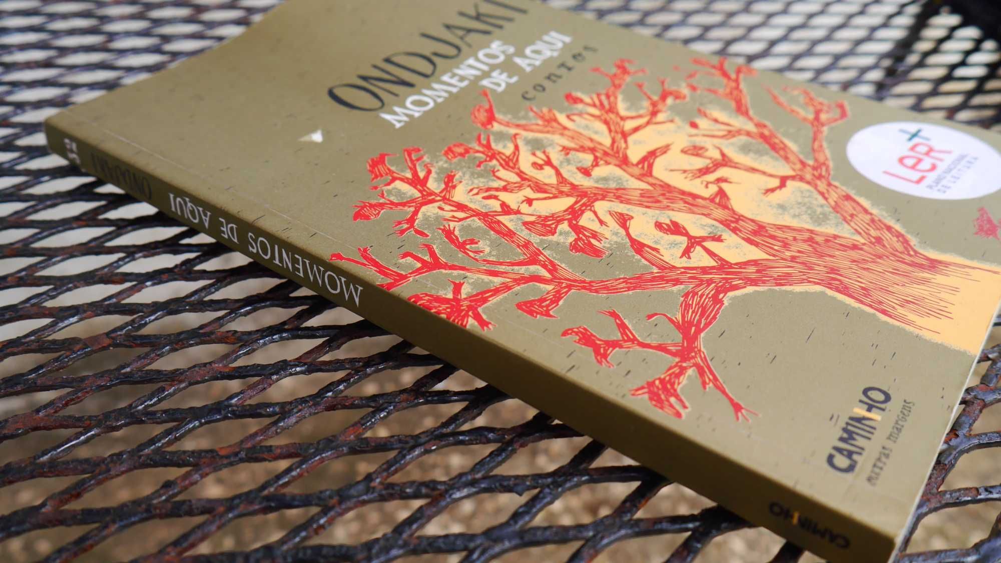 Livro de Ondjaki - Momentos de Aqui (contos)