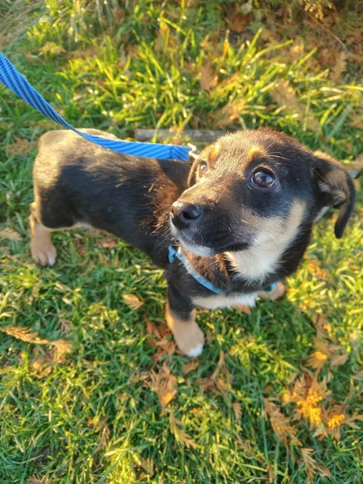 Pokochaj to maleństwo