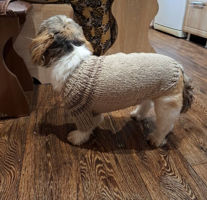 Светр та шубка для вашого улюбленця.