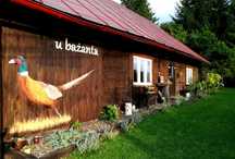 Noclegi w Bieszczadach-domek u bażanta, 7+1os.Sauna, Uherce Min.