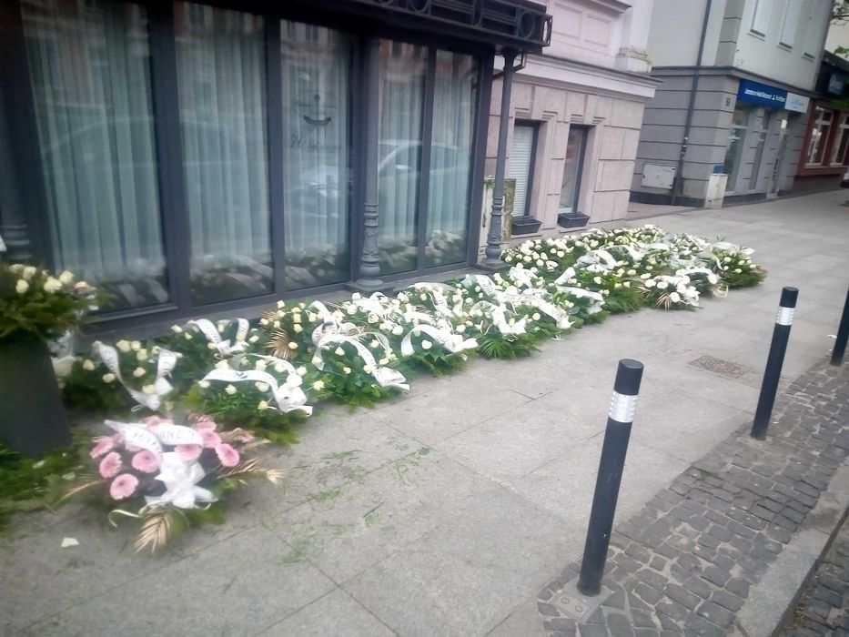 Gałęzie jodły kaukaskiej nordmaniana