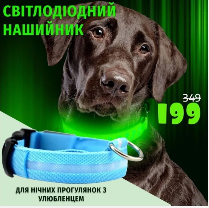 Ошийник з Led підсвіткою