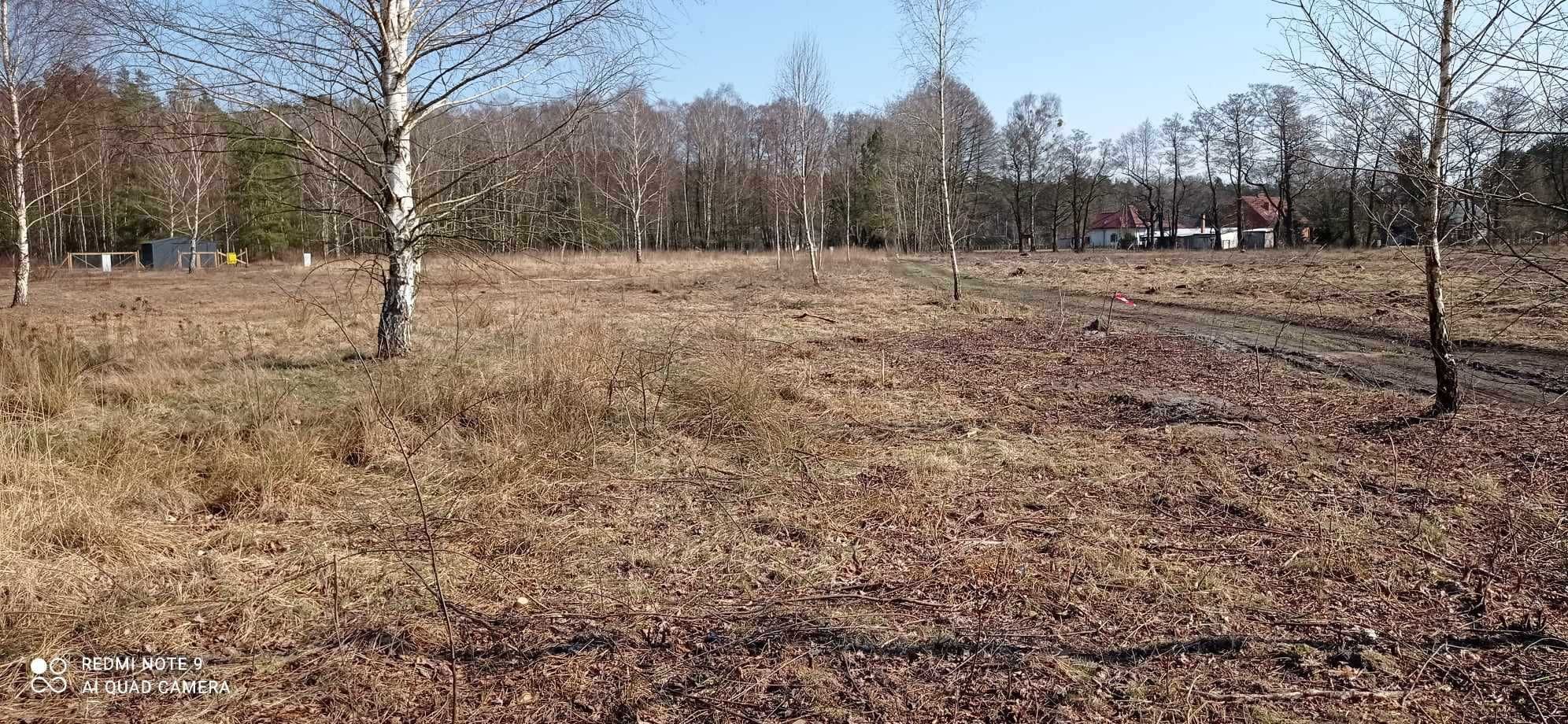 Działka Krępsko przy lesie 1606m2 z warunkami zabudowy.