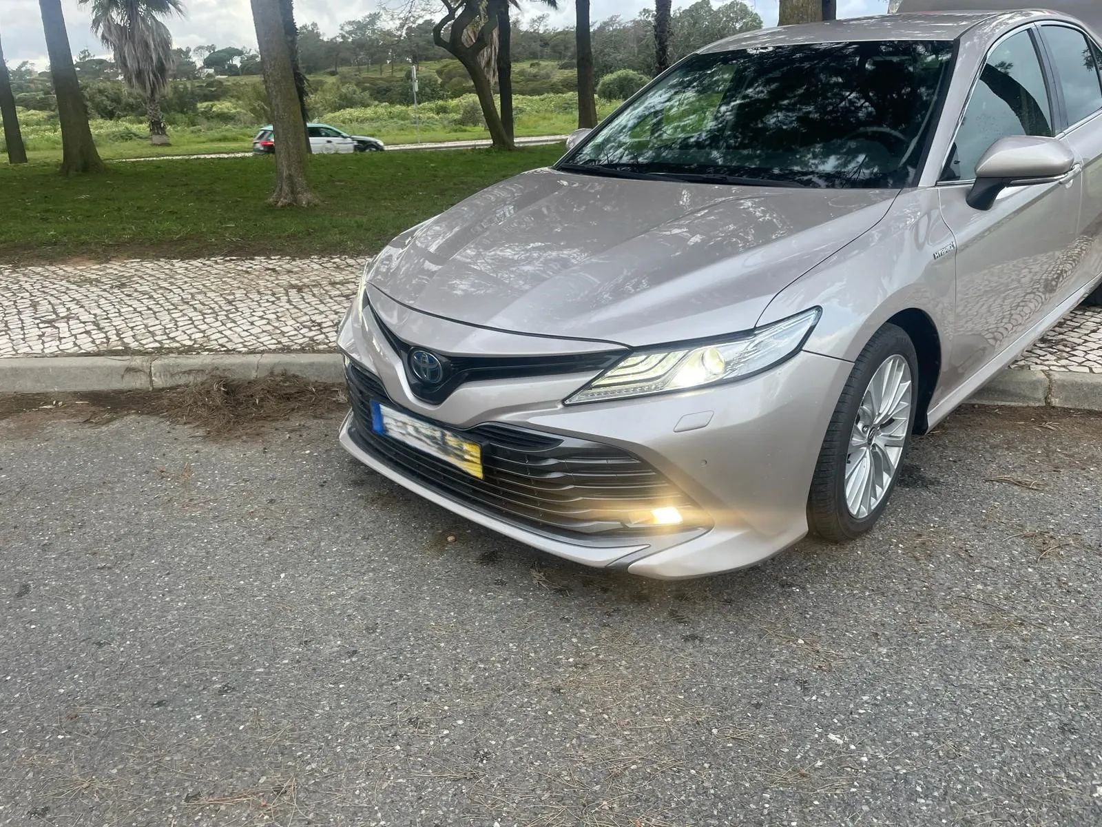 Toyota Camry 2.5 Hybrid Luxury