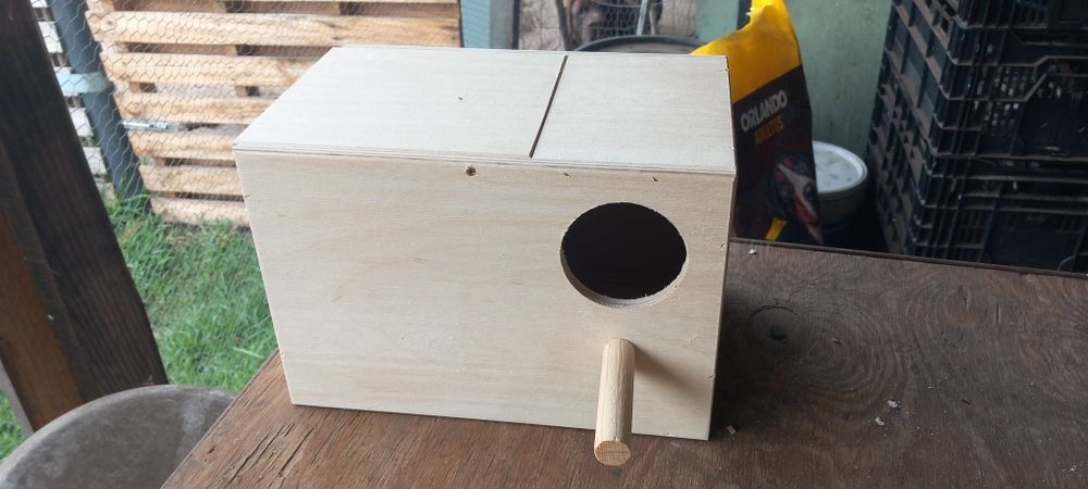 Ninhos novos agapornis caturras