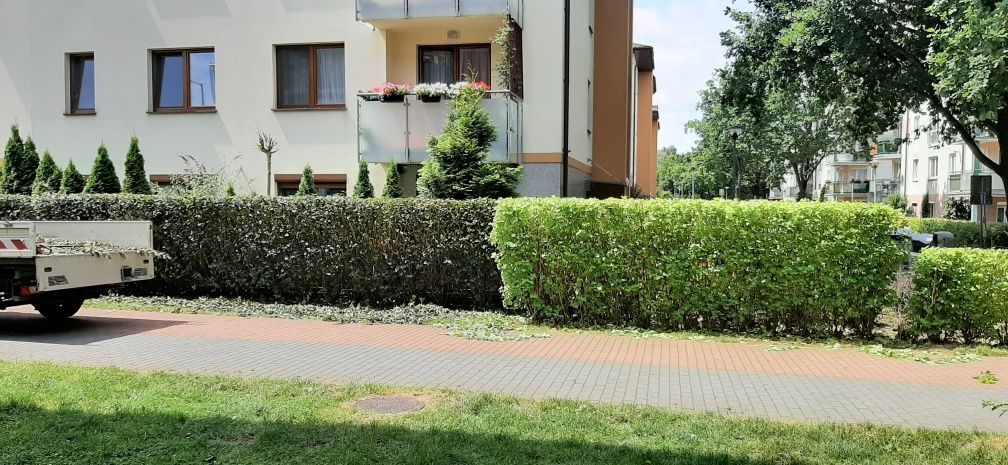 Koszenie trawy,przycinanie żywopłotu,sadzenie drzew itp.