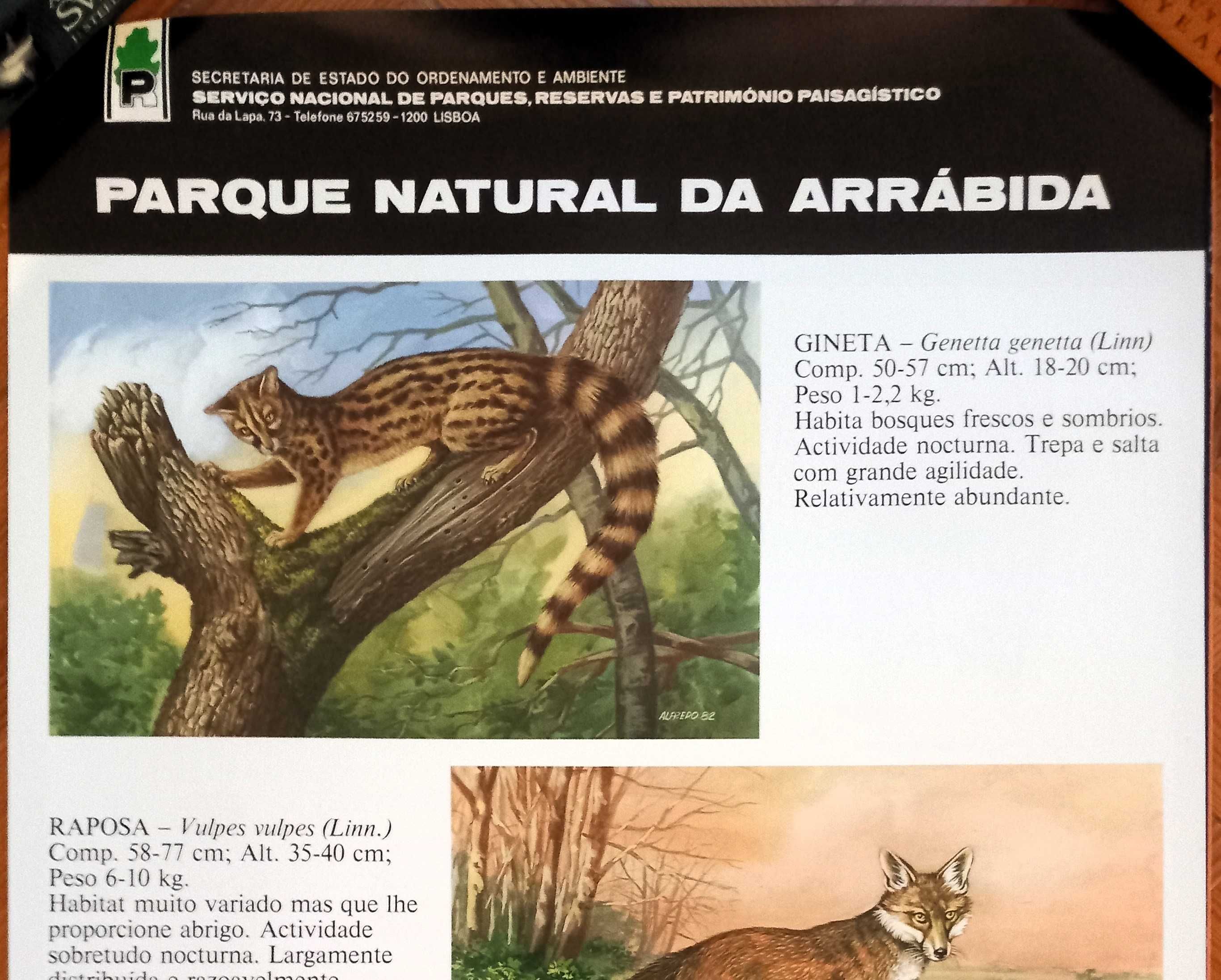 Poster - Parque Natural da Arrábida