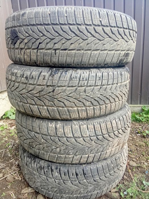 Скати зимні 215 55 18