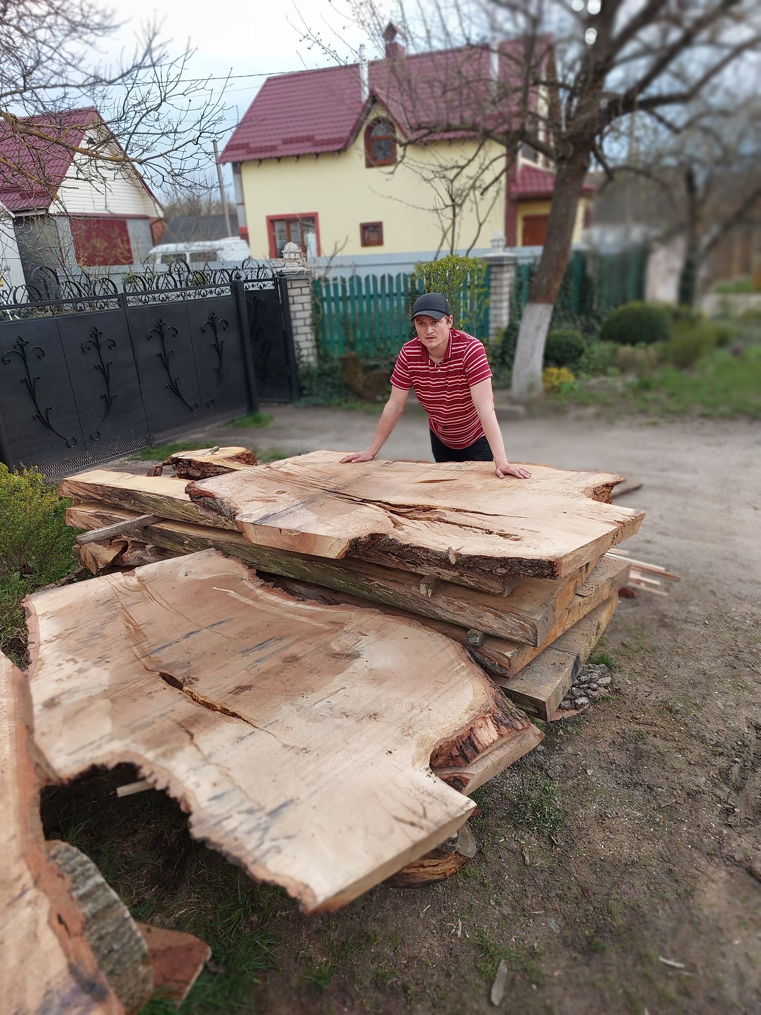 слеби дуб ясен доставка по всій Укоаїні