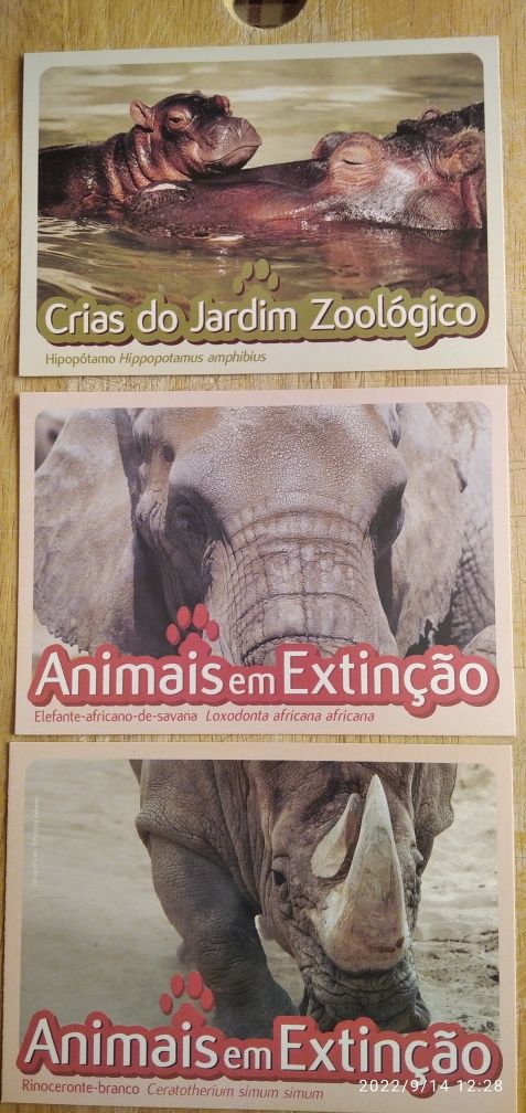 Postais edição especial