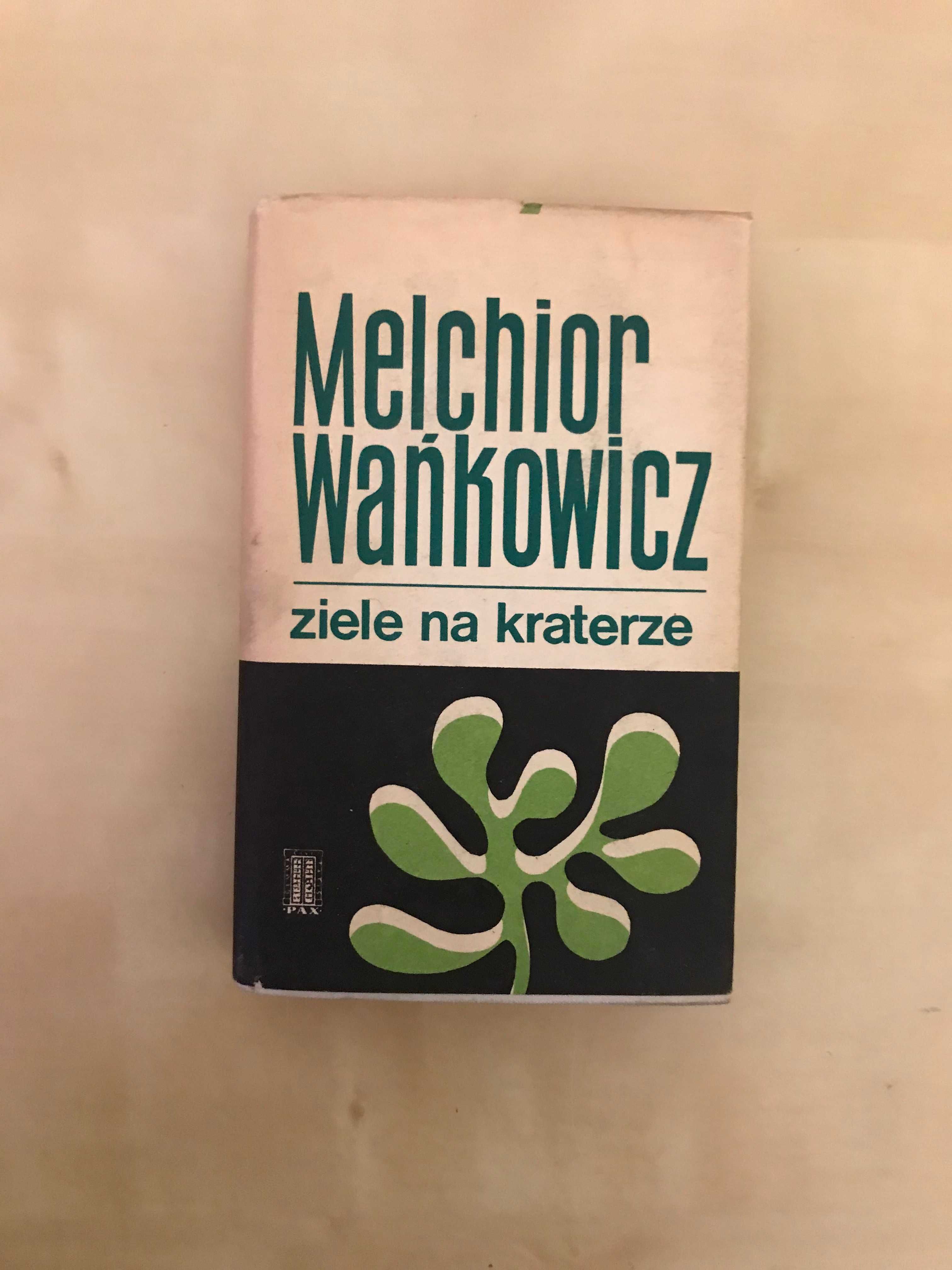 /Literatura kobieca, psychologiczna / Wańkowicz Ziele na kraterze