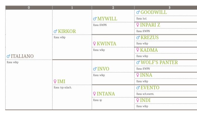 Ogierek 1,5 roku WLKP